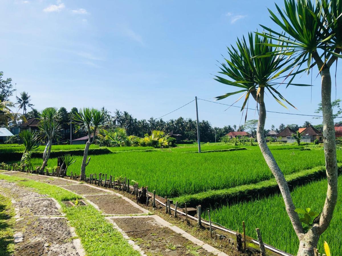 Villa Jj And Spa Ubud Extérieur photo